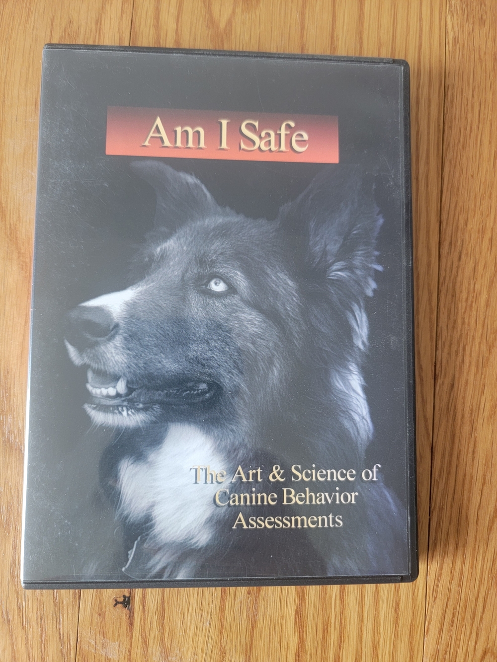 Am I Safe - Canine Behavior Assessment DVD (Black)